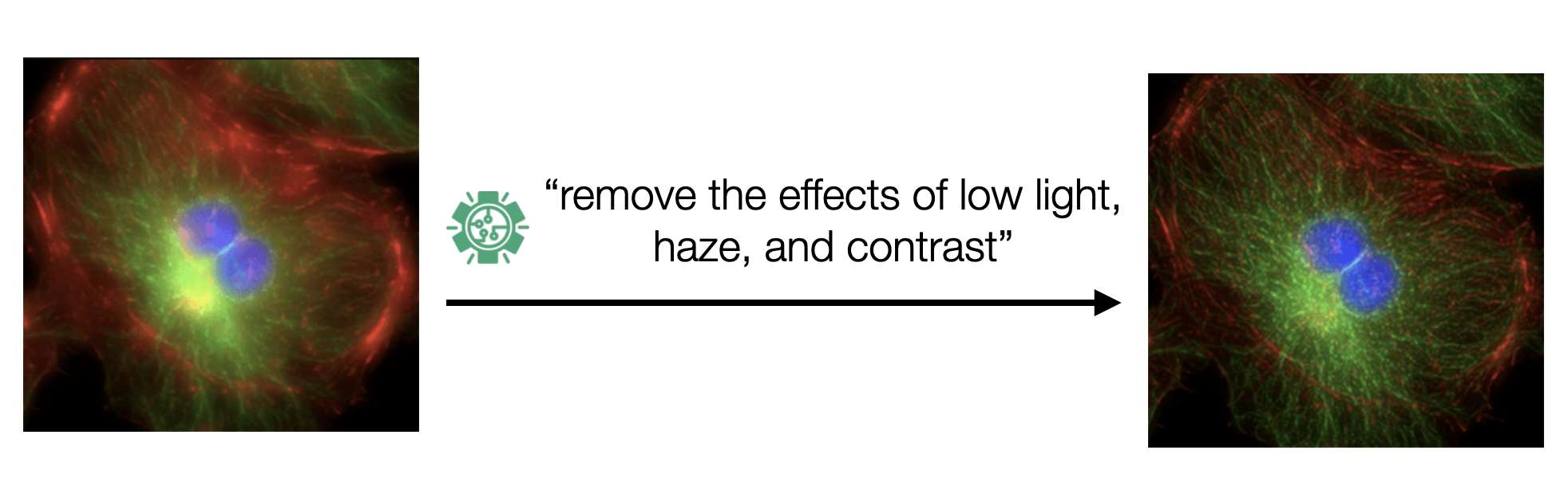 Scientific domain example